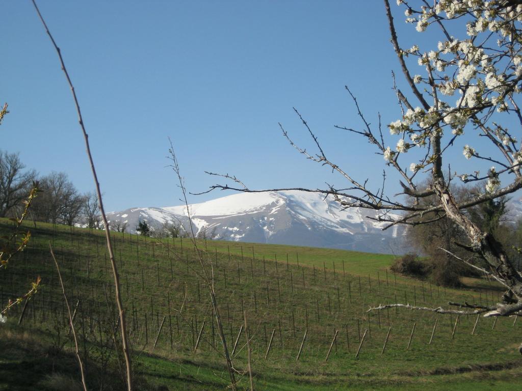 Agriturismo Spa Serpanera Sarnano Exterior photo